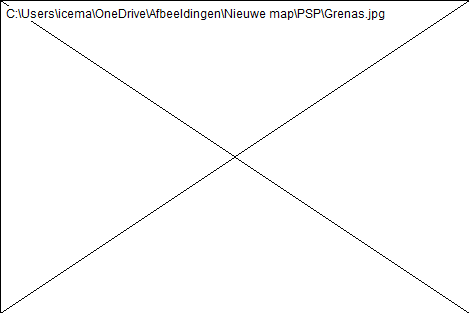 wp97884886.png